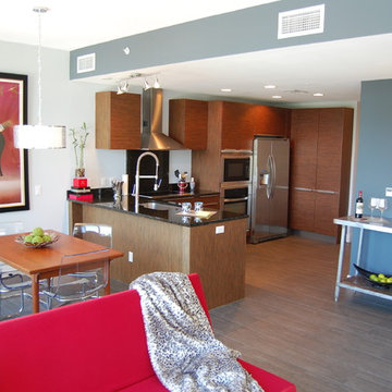 Midcentury Modern Condo St. Petersburg FL