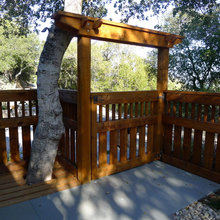 new trellis