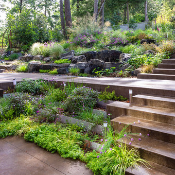 Garden Meadow