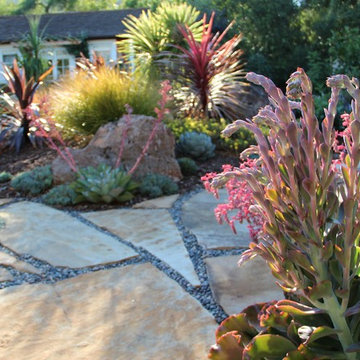 Mediterranean Garden Feature in San Luis Obispo