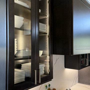 Modern Contemporary Kitchen with Espresso Cabinets