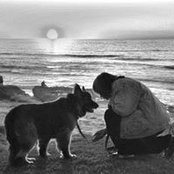 Photo de Mal Stella
