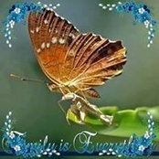 Foto von Susan Young