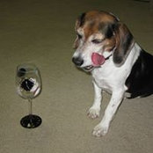 Deborah Cornell's photo