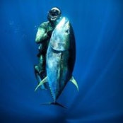 Brett Rosen's photo