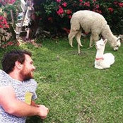 Adriano Limoes's photo