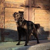 Foto von Jutta Herter