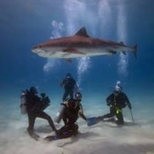 Myke Clarkson's photo