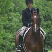 Anne Weinstein's photo