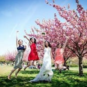 Shiqing Lin's photo
