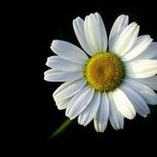Steph Barth Walker's photo