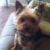 Cara Peterson's photo