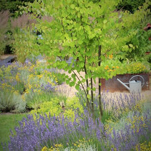 Schrebergarten