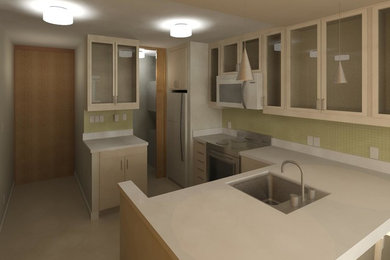 Hawaii Apartment - Rendered Views of kitchen