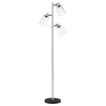 Colinton 3-Light Floor Lamp, Brushed Nickel Black With Clear Glass Shade