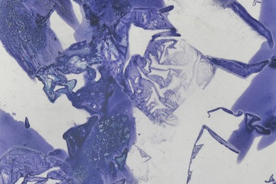 Plastic Art Rap (PAR)