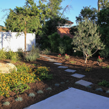 Water Saving