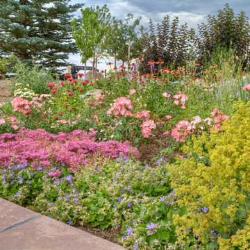 Plant Combinations
