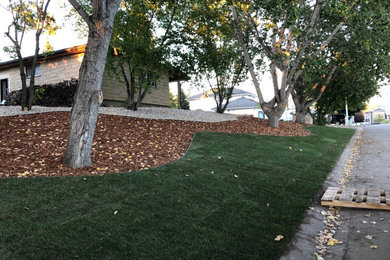 Photo of a mid-sized contemporary landscaping in Edmonton.