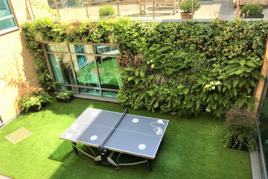 Inspiration for a medium sized contemporary garden in London with a living wall.