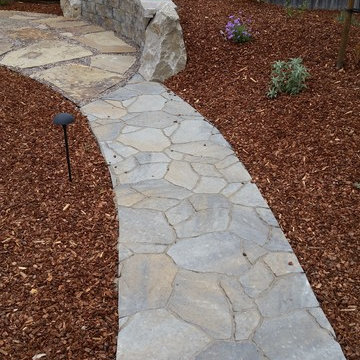 Drought Tolerant