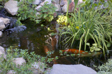 Design ideas for a landscaping in San Diego.