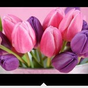 Lori Tanner's photo