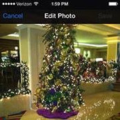 Patsy Picklesimer's photo