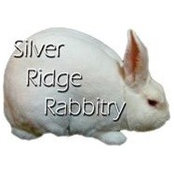 Silver Ridge Rabbitry's photo