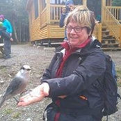Lise Robitaille's photo