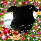 Cheryl Manasco's photo
