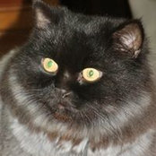 George Whelpdale's photo