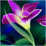 Liana Baldo's photo