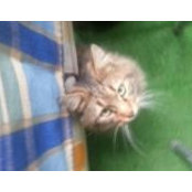 Celal Yahşi's photo