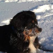 Gregory Gagnon's photo