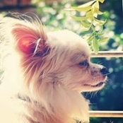 Foto von Sariel Lin