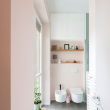 Bagno 1, ipotesi e palette