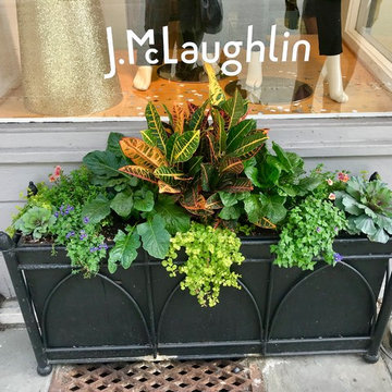 Southern Window Boxes
