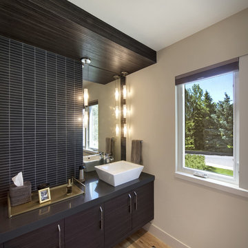 Mid-Century Modern Remodel