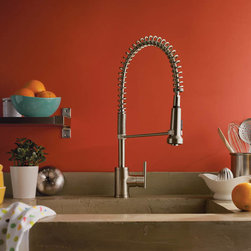 Danze Parma Pre-Rinse Spring Kitchen Faucet - Kitchen Faucets