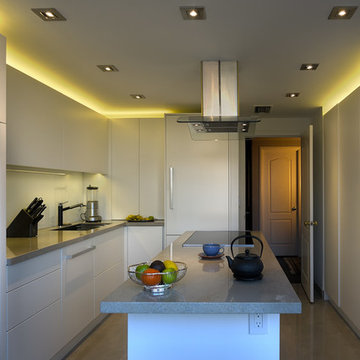 Luxury Condo Kitchen Project in Historical Area