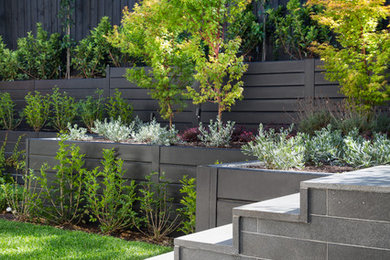 Inspiration for a mid-sized contemporary backyard partial sun formal garden for spring in Melbourne with a retaining wall and natural stone pavers.