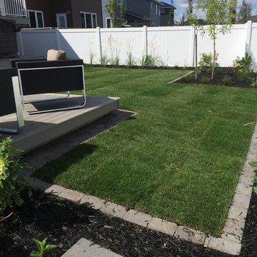 Modern and Low Maintenance