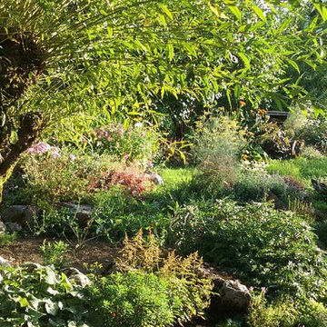 Un jardin en montagne