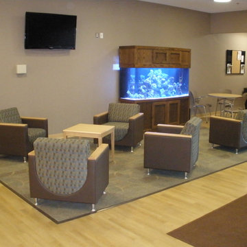 A portfolio of custom aquariums from our 17+ year history.