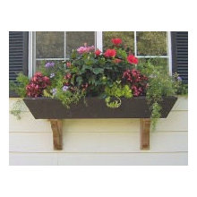 yard landscaping
