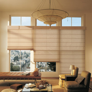 Living Room Ideas