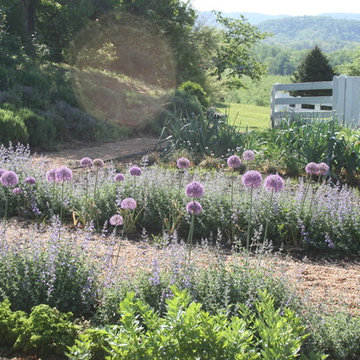 Pharsalia, Nelson County, VA