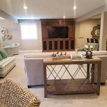 Lower Level Living Spaces