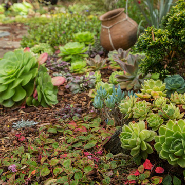 Garden in the Excelsior